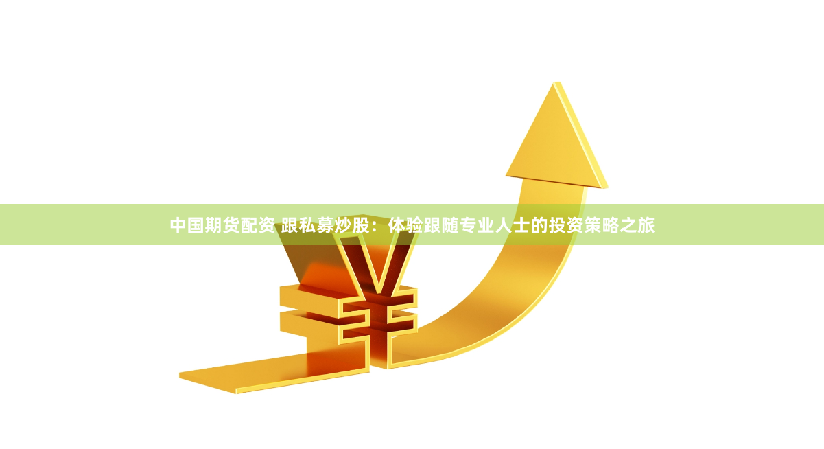 中国期货配资 跟私募炒股：体验跟随专业人士的投资策略之旅