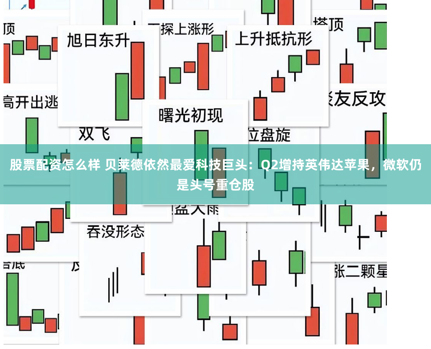 股票配资怎么样 贝莱德依然最爱科技巨头：Q2增持英伟达苹果，微软仍是头号重仓股