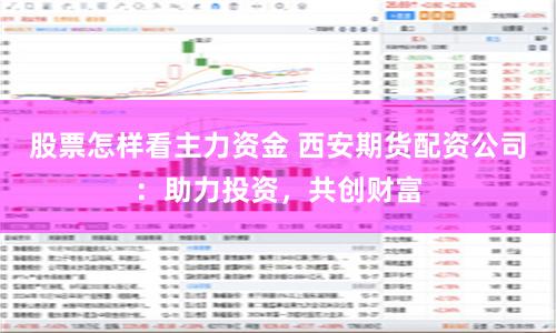 股票怎样看主力资金 西安期货配资公司：助力投资，共创财富
